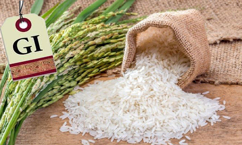 बासमती चावल के जीआई टैग पर भारत-पाकिस्तान के बीच तनातनी, क्यों