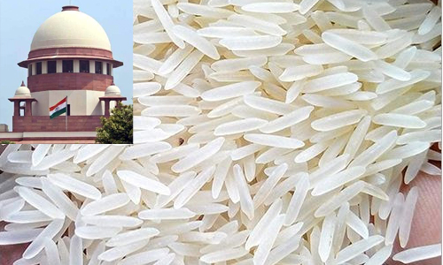 बासमती चावल के जीआई टैग में मिली एमपी राज्य को बड़ी कामयाबी, सुप्रीम कोर्ट में दलील को किया मंजूर